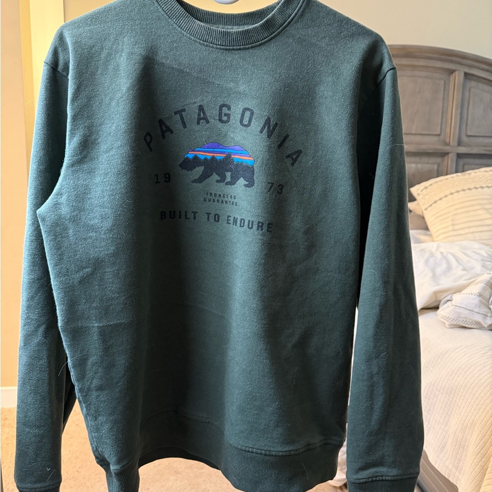 Patagonia Men's Green Sweater